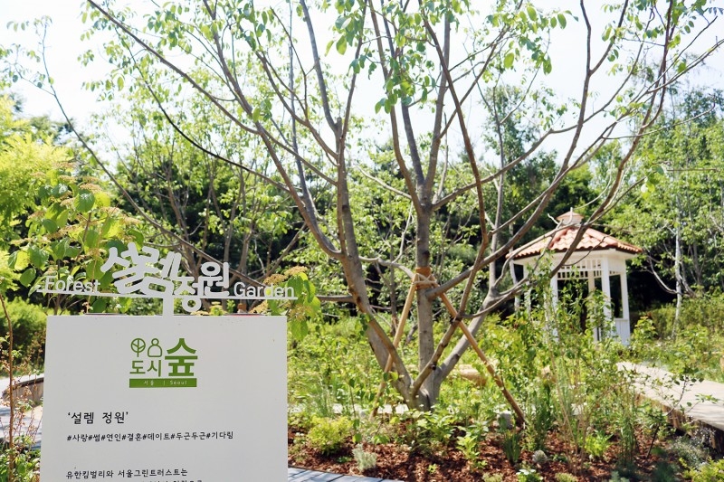 서울숲공원 ‘설렘피크닉데이’ 개최