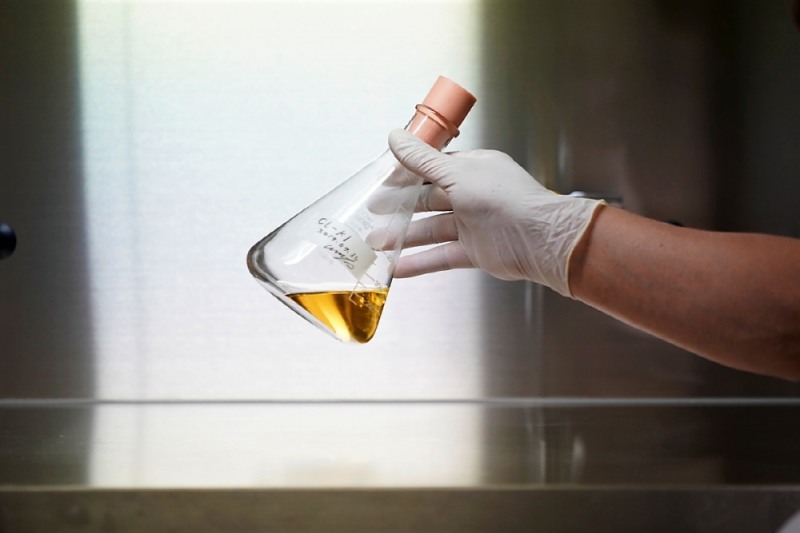 씨엘바이오, '간 손상 치료물질' 특허 취득