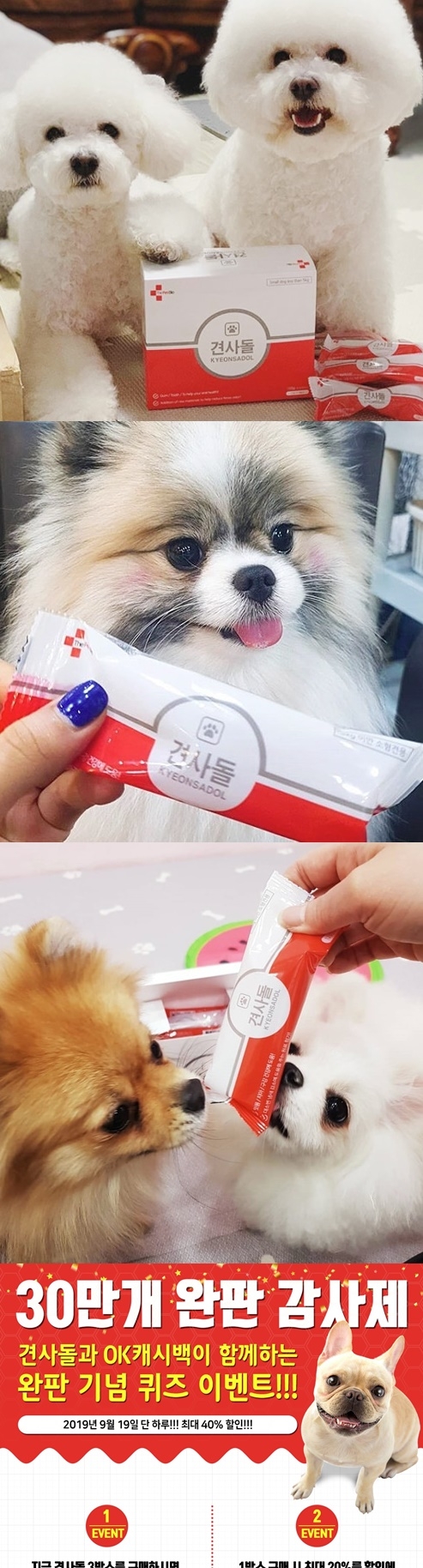 포토 : 견사돌
