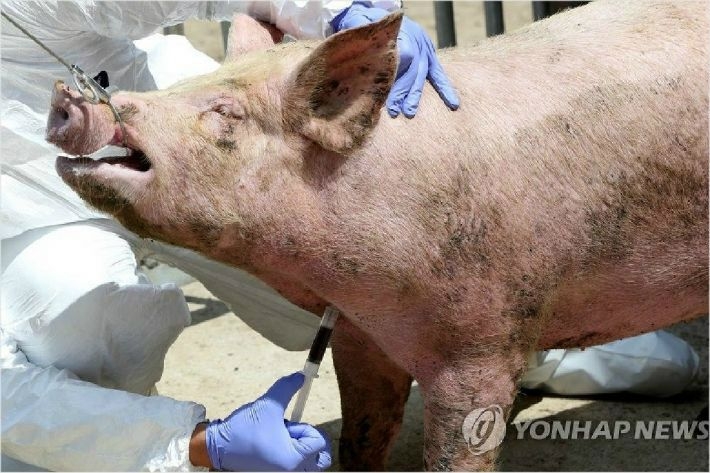 사진 : 연합뉴스
