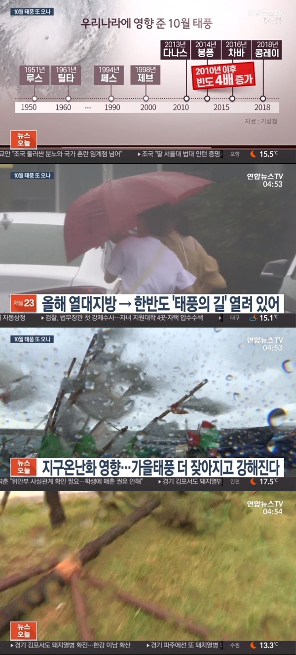 연합뉴스티비