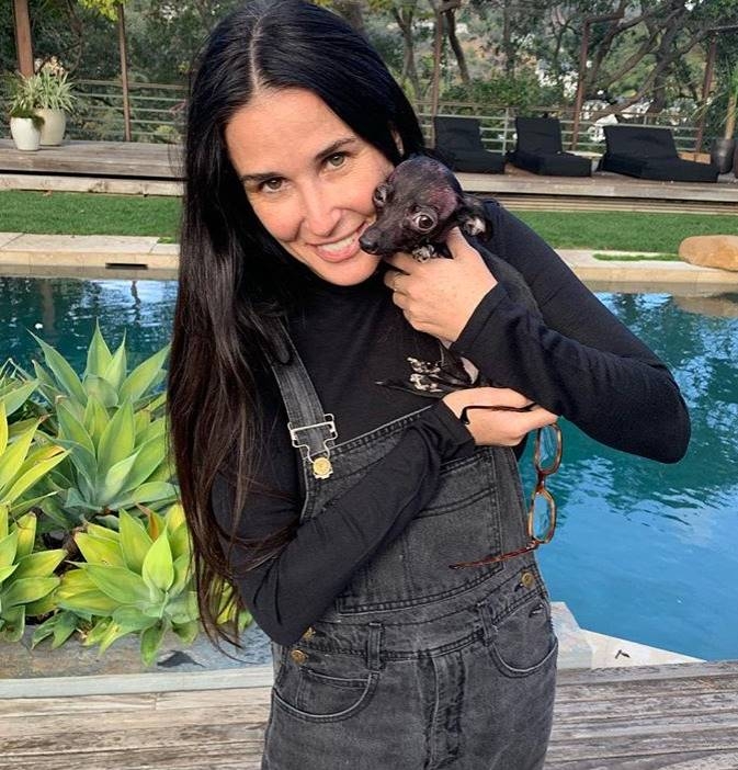 데미 무어 결혼 생활 폭로(사진=데미 무어 SNS)