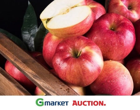 이미지 제공 = 이베이코리아