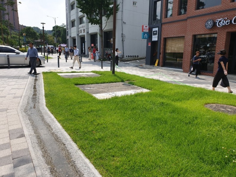 사진=태극당 앞 잔디밭. 제공=한국안전시스템(KOSASY)