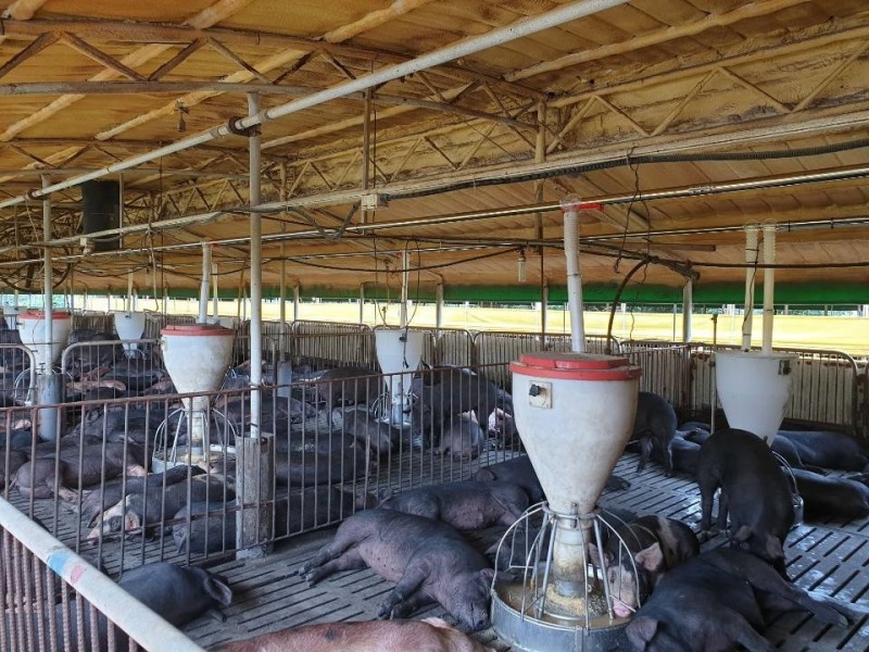 출처=팍스경제TV