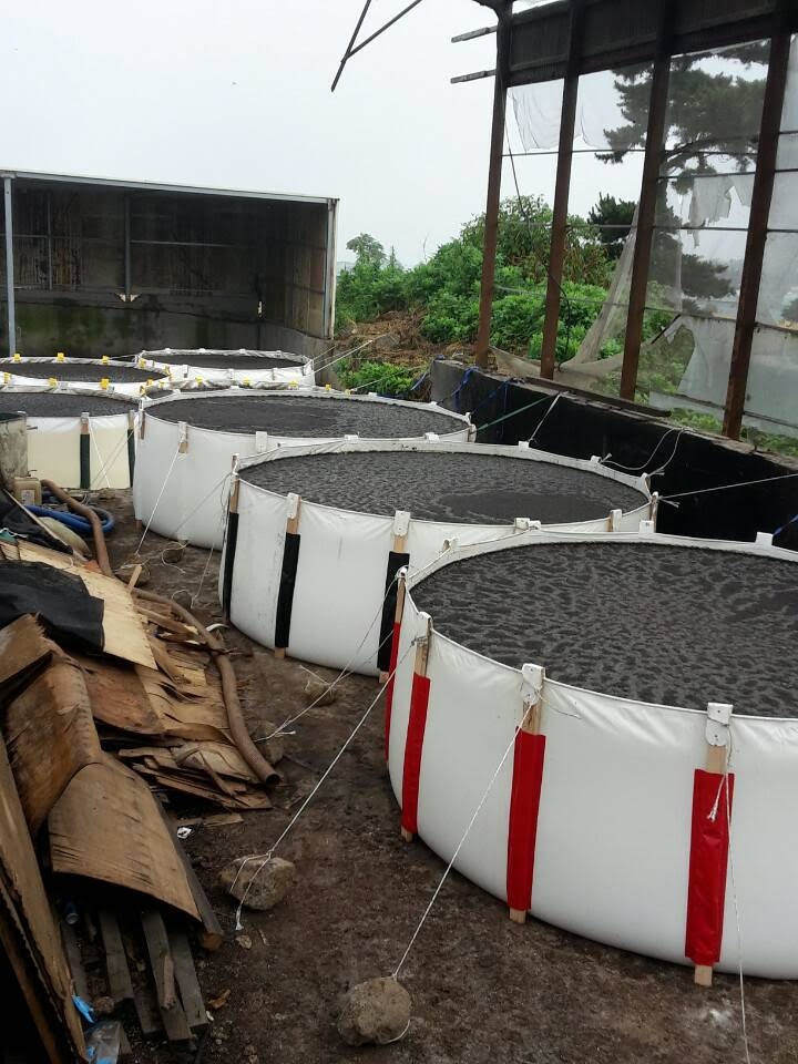 출처=팍스경제TV