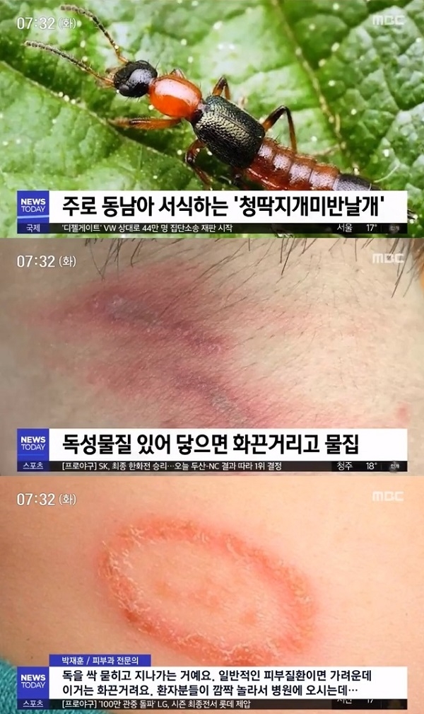 포토 : 영상캡쳐
