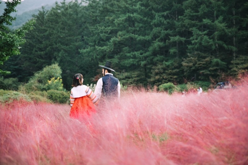아침고요수목원, 한복 이벤트 '한복여행' 개최