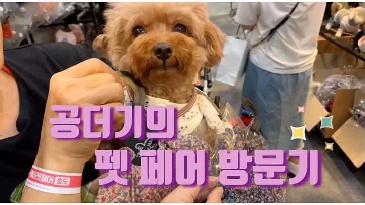 공민지사진=SNS캡처