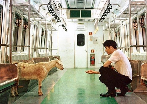 출처 에스엔에스