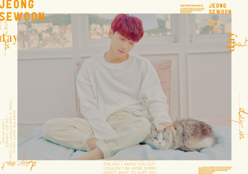 스타쉽엔터테인먼트