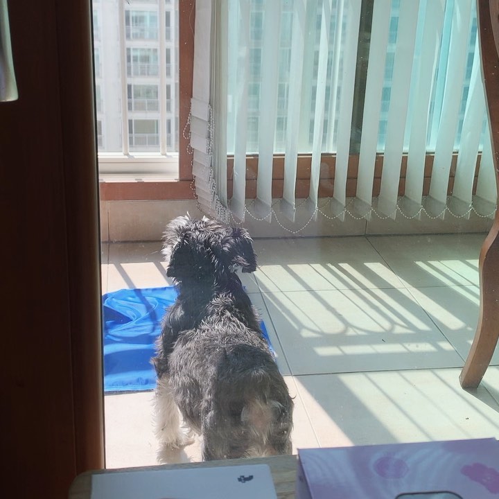 서재원사진출처=SNS캡처