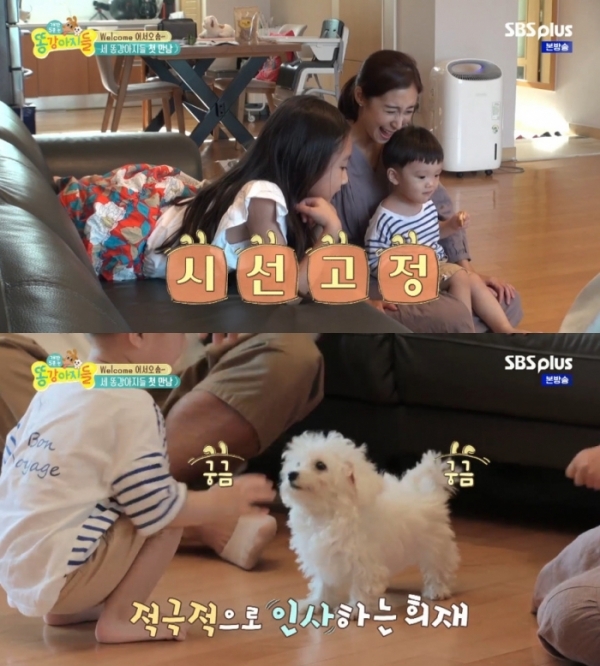출처-SBS plus '똥강아지들'