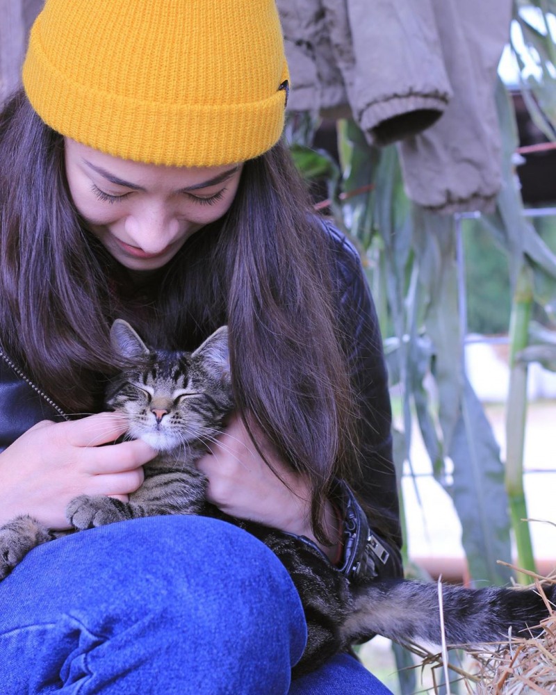 조델퍼랜드사진출처=SNS캡처