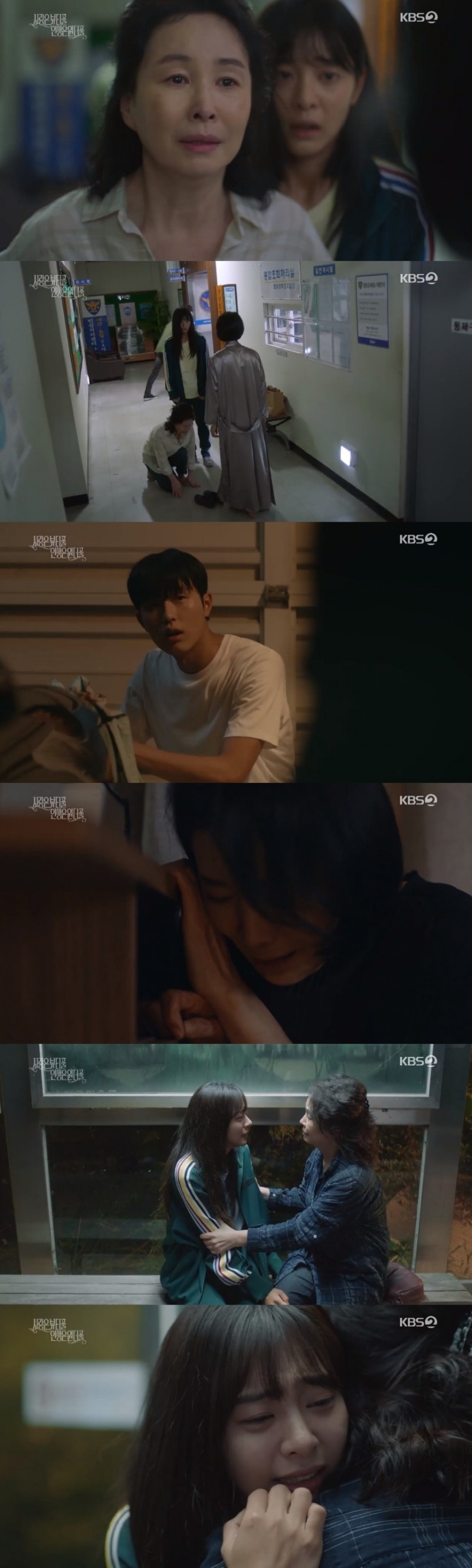 사진=KBS방송화면