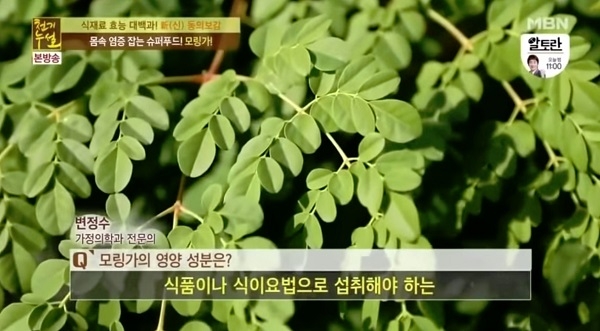 사진 : 방송캡쳐