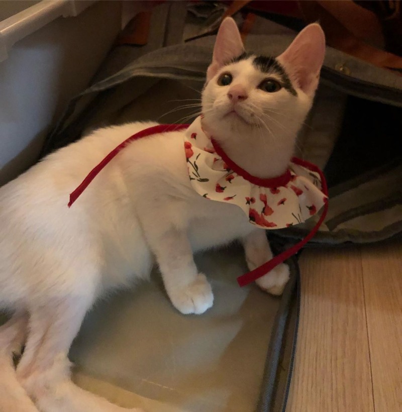 최희사진출처=인스타그램