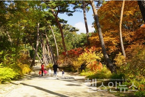 4대궁?종묘?조선왕릉,‘단풍 절정기’숲길 추천 코스·문화행사 마련