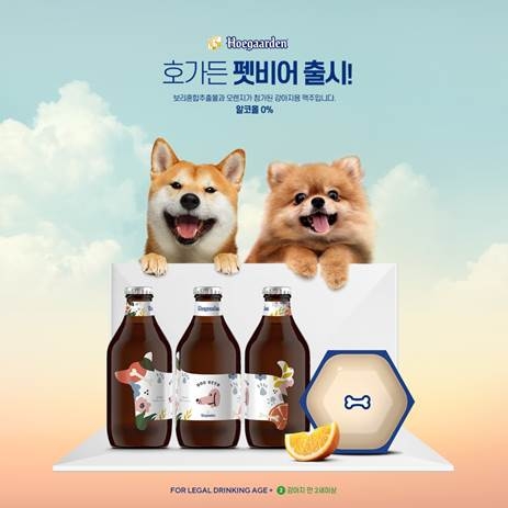 “반려견과 함께 맥주를 즐기세요”
