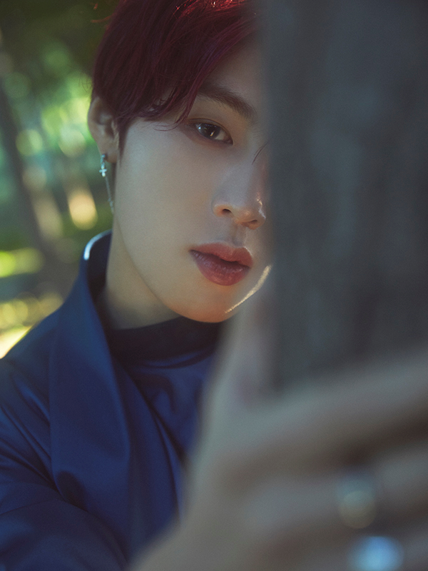 스타크루이엔티