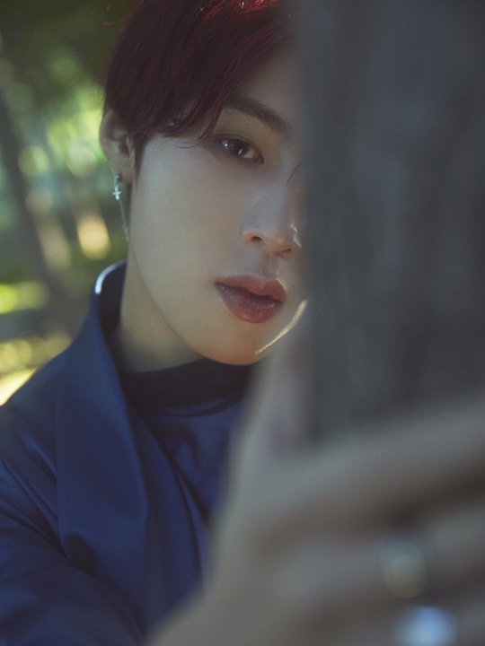 스타크루이엔티