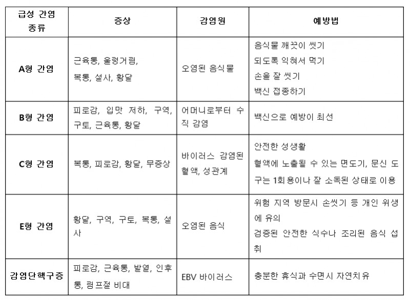 [건강Tip] 종류 다양한 급성 간염, 급성 간염의 특징과 치료법