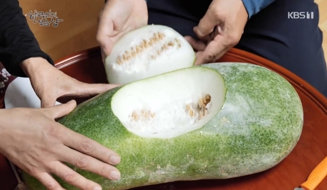 사진=KBS 캡처 화면