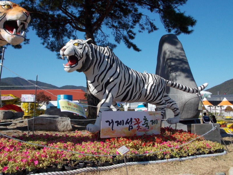 2019년 제 14회 ‘거제섬꽃축제’, 함께 즐길만한 거제도 맛집은