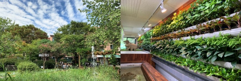 사진=우리강산 푸르게 푸르게_숲 속 학교 1호_서울 화랑초등학교 전경 및 실내모습