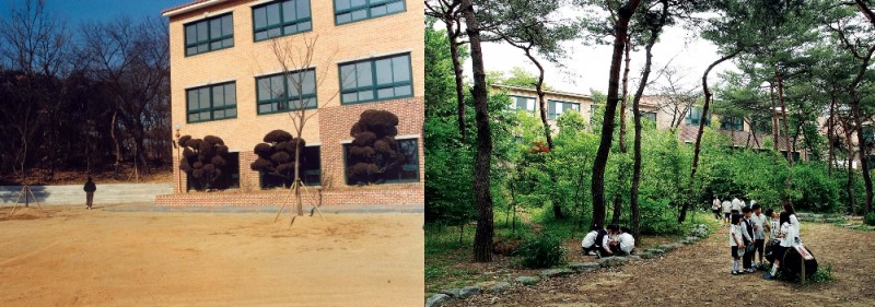 사진=서울 화랑초(1999, 학교숲 시범학교 전, 2005년 학교숲 운동 후)