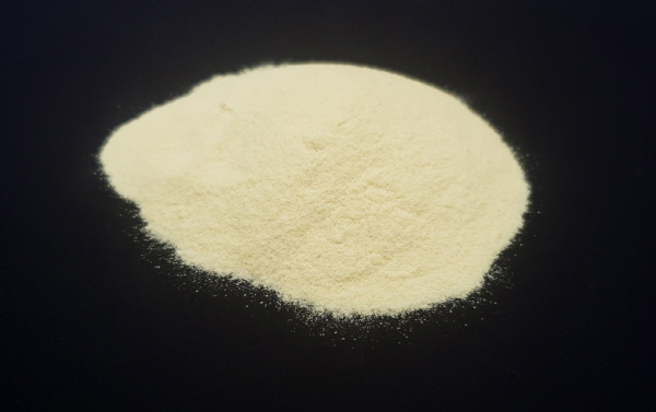 정가진면역연구소, 김치유산균 ‘포스트바이오틱스’...가치 검증 성공