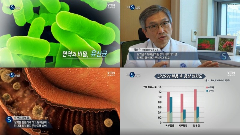 ‘면역의 비밀, 유산균’ 장내 장벽 강화가 핵심