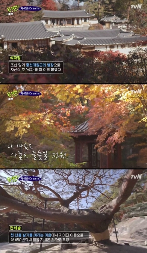 포토 : 영상캡쳐
