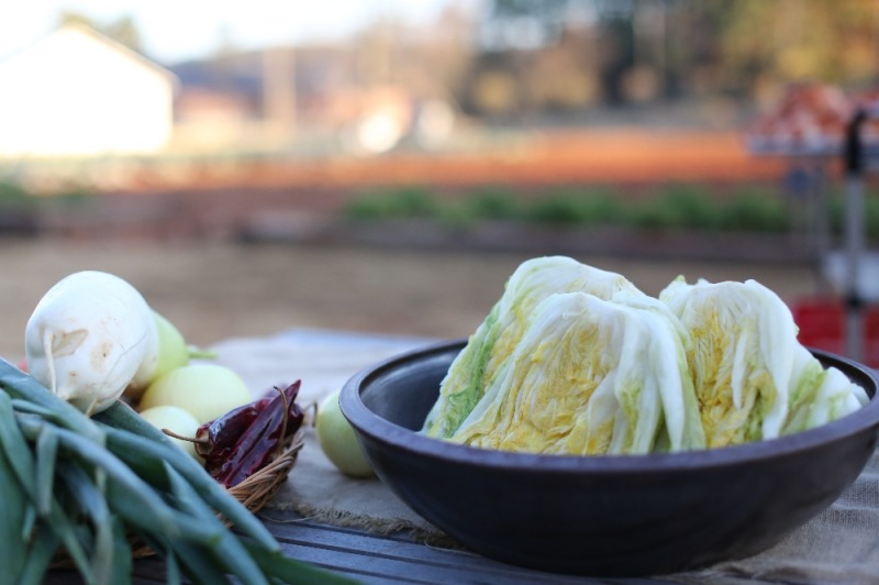 농어촌 체험형 테마공원 '상하농원', 김장대잔치 체험행사 진행