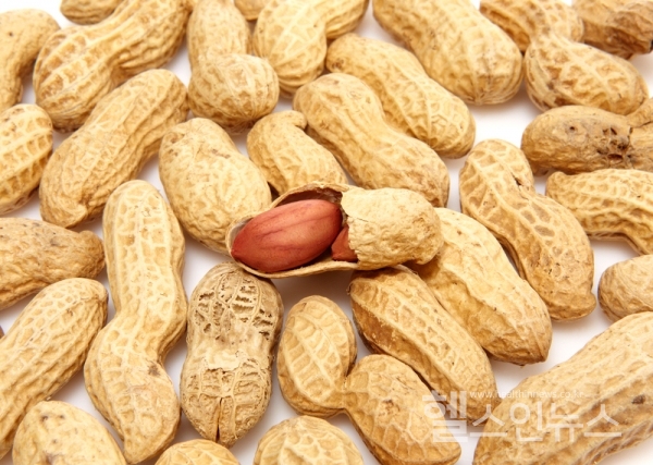 주사 한번으로 땅콩 알레르기 2주간 멈출 수 있어