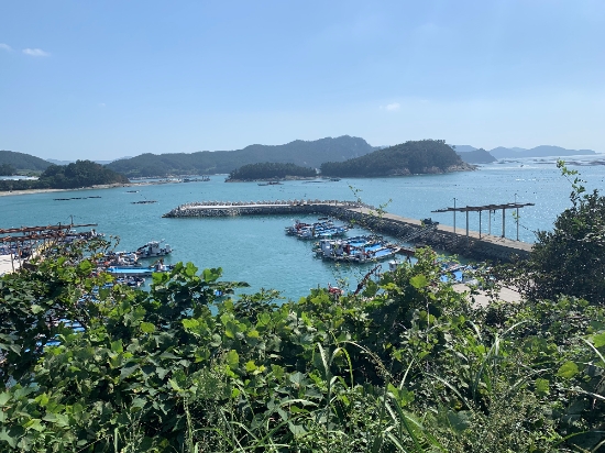 사진=완도군