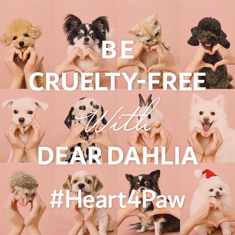 디어달리아,하트포포 캠페인 연장 진행