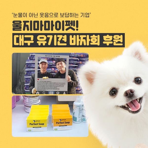 울지마마이펫, 대구 유기견 바자회 동참... 따뜻한 손길 보태