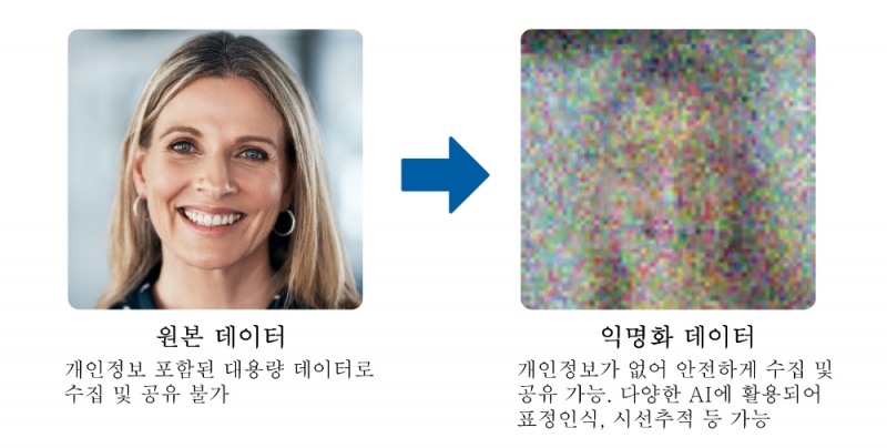 딥핑소스(Deeping Source)의 비식별화 기술 소개