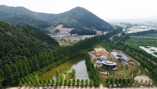 담양군 메타세콰이아랜드 전경/사진=담양군