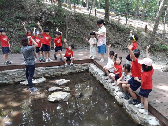 화순군 유아숲 체험장/사진=화순군