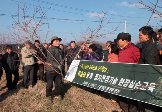 사진=담양군