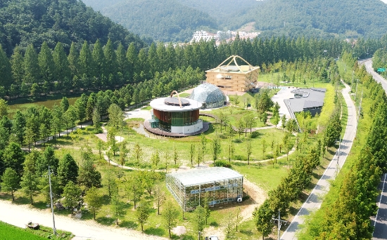 담양 메타세쿼이아랜드 전경/사진=담양군