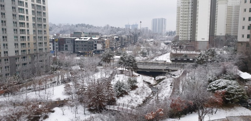 광주·전남 6개 시군 대설주의보…최고 8㎝ 눈