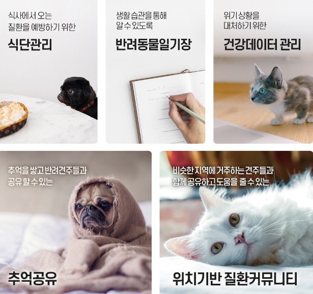 ‘늘펫’으로 반려견 건강 관리, 보호자의 기록으로 더욱 더 건강하게