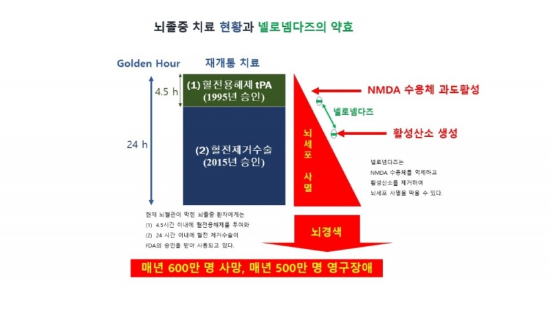 지엔티파마, 뇌졸중 치료제 넬로넴다즈 미국 특허출원