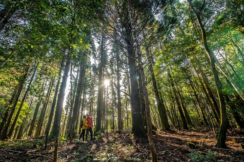 사진 제공 =제주신라호텔