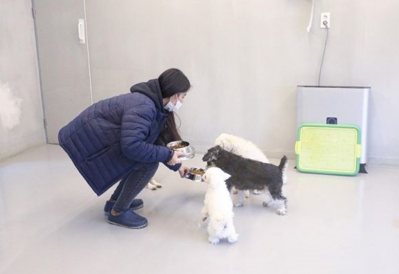 사진=서초구 제공