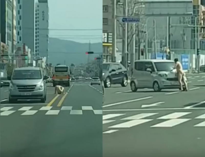 울산 터미네이터가 도로 한 가운데 웅크리고 있다 갑자기 지나가던 레이차량을 멈춰세우며 공격하기 시작했다.