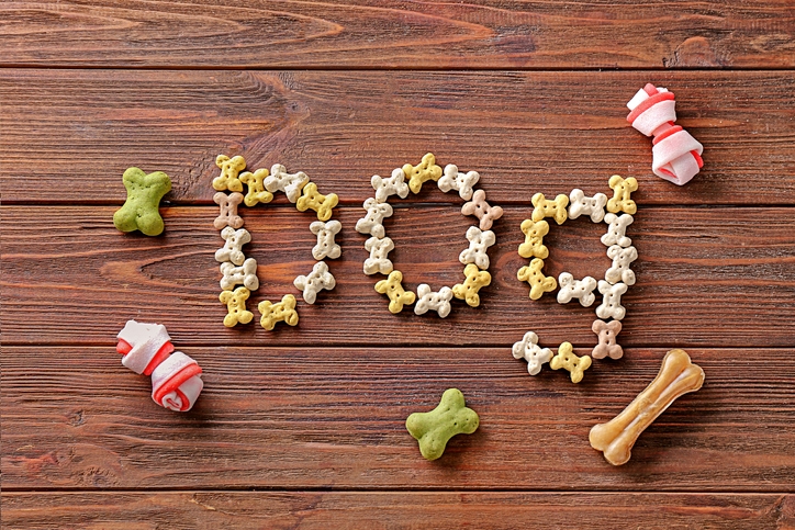 사료만으로 부족하다면? 강아지 영양제 선택 팁